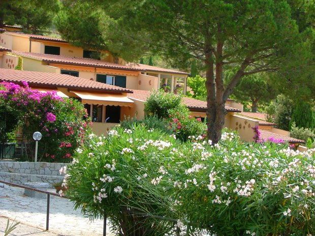 Cavoli auf Elba Ferienhaus mit Meeblick