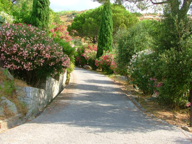 Zuweg zum Ferienhaus bei Cavoli Campo nell Elba
