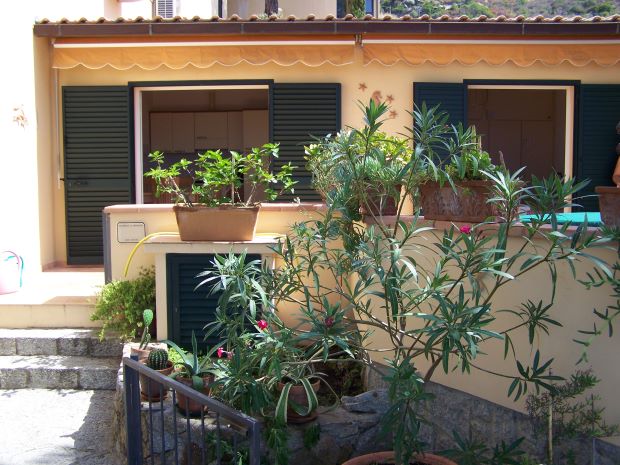 Ferienhaus auf Elba zum kaufen