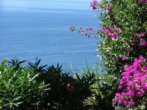Ausblick vom Ferienhaus auf das Meer von Elba