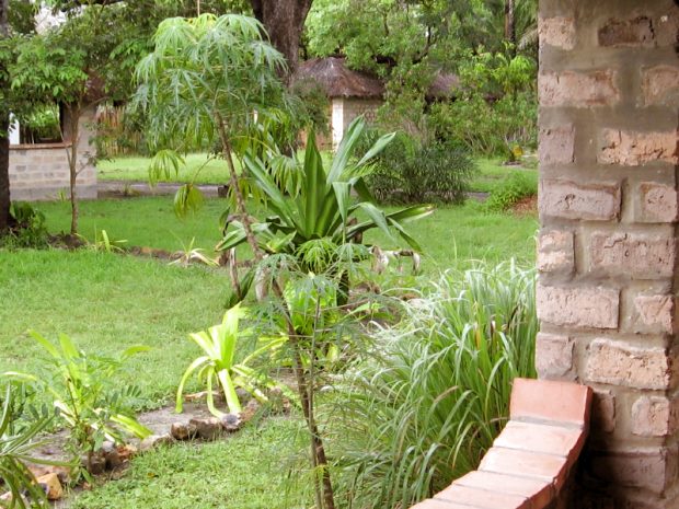 Garten Grundst�ck der Lodge