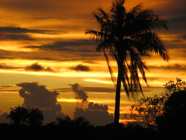 Fluss-Grundst�ck am Abend