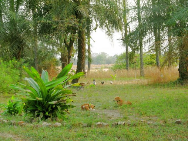 Grundst�ck der Lodge mit Blick zum Fluss Halahin