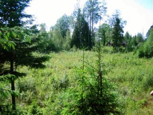 Baugrundst�ck in Schweden