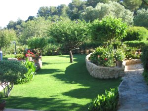 Garten-Grundstck der Finca in San Jose