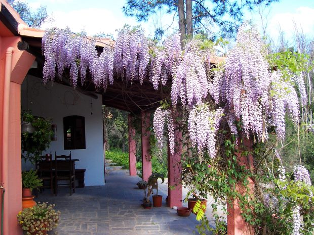 Finca, saniertes Bauernhaus bei Monchique Algarve Portugal