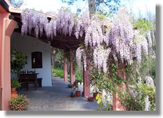 Finca Bauernhaus Einfamilienhaus bei Monchique in Portugal