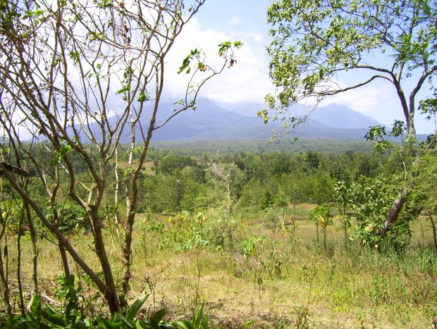 Mount Meru Grundstck in Tansania