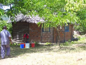 Bambo auf dem Grundstck in Tansania