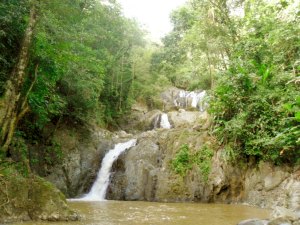Waterfall nah der Villa auf Tobago