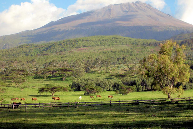 Landschaft der Pferderanch Landschaft der Pferderanch