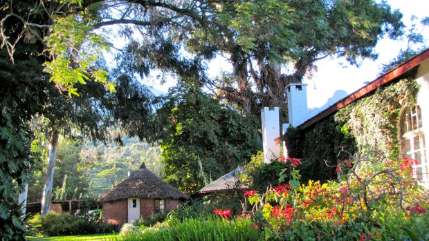 Pferderanch mit Gästehäusern in Tansania Pferderanch mit Gästehäusern in Tansania