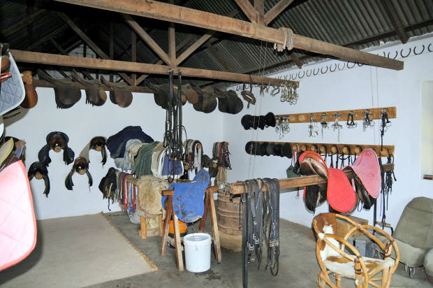 Pferderanch Pferderanch