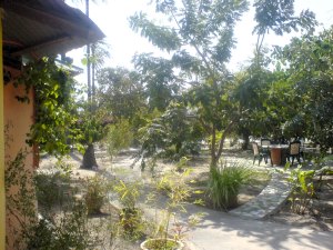 Garten der Ferienh�user