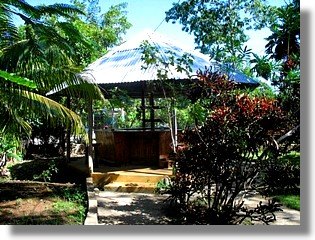 Garten vom Einfamilienhaus auf Jamaika in Negril