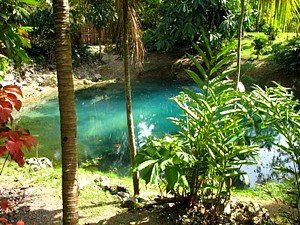 Garten mit Naturpool vom Ferienhaus