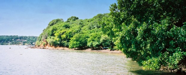 Grundst�ck an der K�ste der Westerhall Bay in Grenada Kleine Antillen Karibik