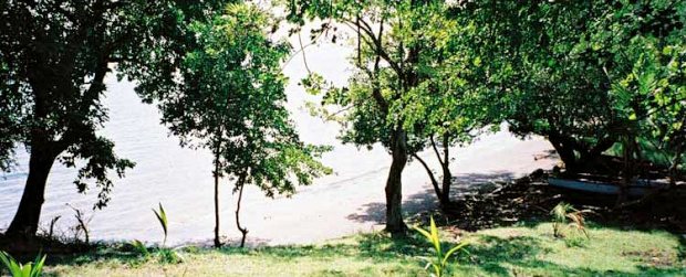 Strand vom Grundst�ck