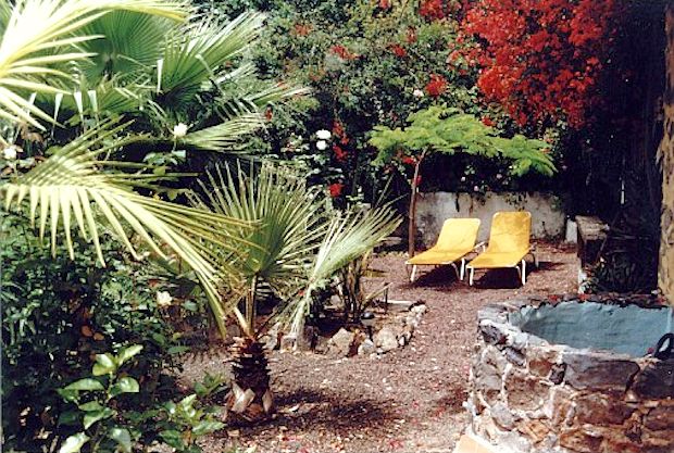 Garten vom Einfamilienhaus Wohnhaus