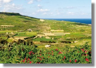 Gozo Apartments mit Meerblick