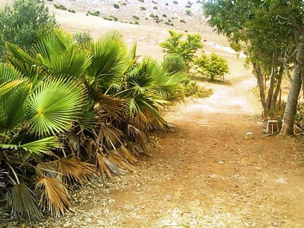 Zuweg zum Baugrundstck bei Sidi Moussa El Mejdoub