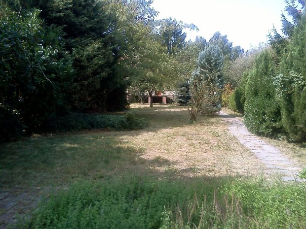 Grundstck Garten der Huser in Budapest