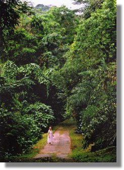 Grundst�ck auf Mahe Island Seychellen