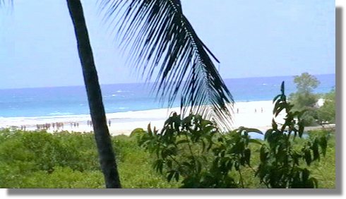 Grundstück am Tiwi Beach in Kenia kaufen vom Immobilienmakler