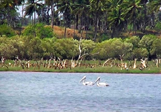 Sicht auf das Baugrundstck