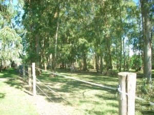 Grundstck vom Ferienhaus