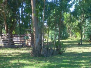 groes Grundstck zum Ferienhaus