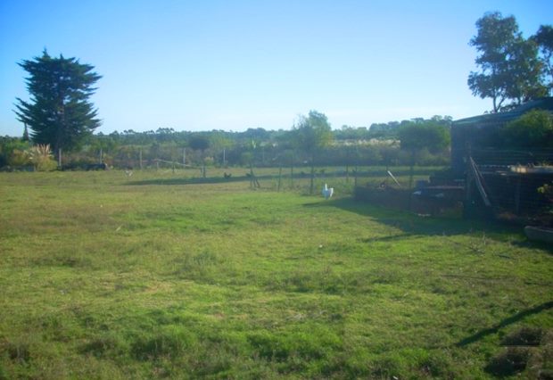 Grundstck vom Ferienhaus in Barros Blancos Canelones Uruguay