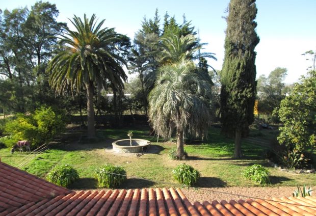 Blick in den Garten vom Ferienhaus