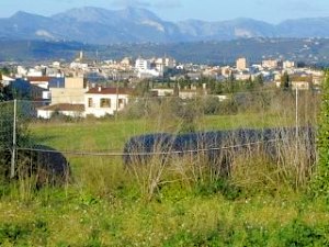 Ausblick zu S'Aranjassa von der Finca