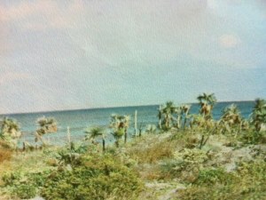 Baugrundstck in Strandnhe auf Cat Island Bahamas