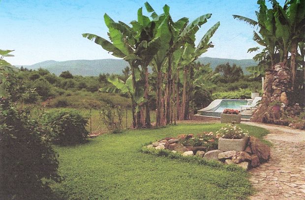 Garten vom Bauernhaus mit Pool in Portugal