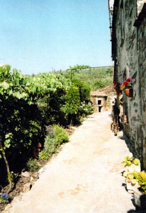 seitlicher Weg am Bauernhof