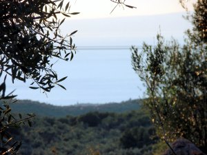 Grundstck mit Meerblick auf Peloponnes