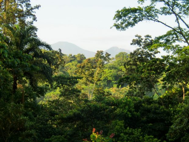 Blick von der Terrasse des Einfamilienhauses