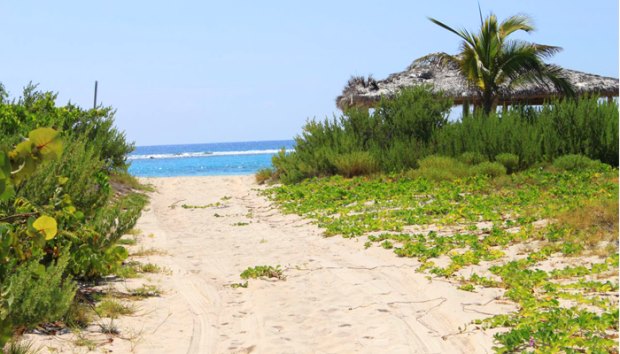 vom Baugrundst�ck zum Strand und Meer auf Little Cayman in der Karibik