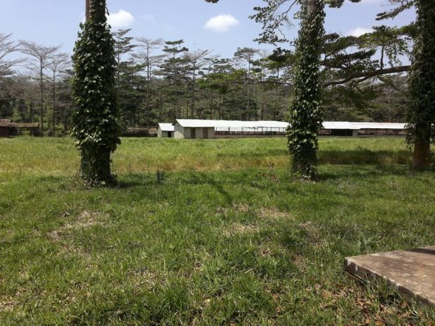 Hhnerfarm in Tansania auf Sansibar
