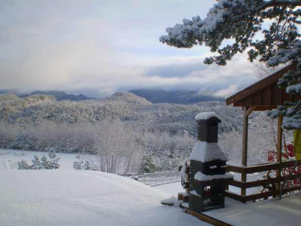 Grundst�ck im Winter