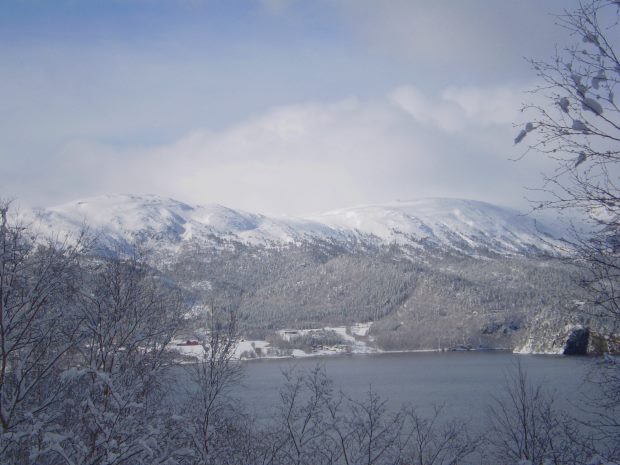 Ausblick vom Grundst�ck