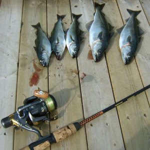 Angeln in der Ferienanlage in Norwegen