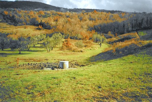 Grundstck in der Toskana bei Arcidosso Provinz Grosseto