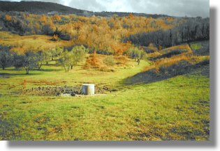 Arcidosso Grosseto Toskana Grundstück zum Kaufen Arcidosso Grosseto Toskana Grundstück zum Kaufen