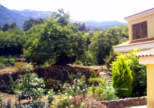 Garten Grundstck vom Einfamilienhaus