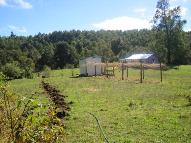 Einfamilienhaus zum Ausbau in Curacautin Chile