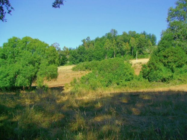 Grundstck in Chile bei Curacautin