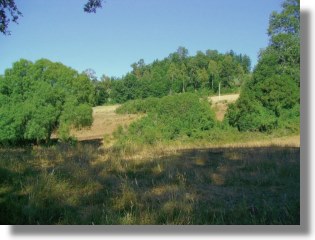 Grundstck vom Ausbauhaus in Curacautin Chile
